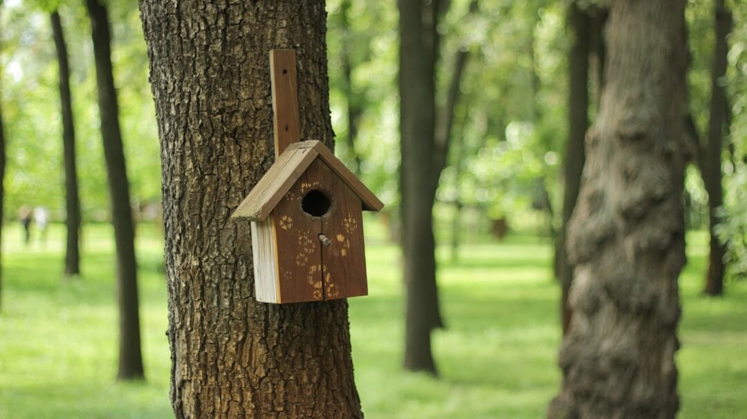 Photo Eco-friendly homestays