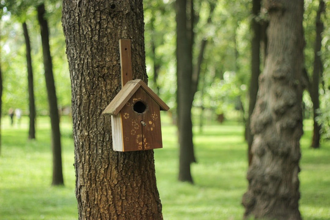 Photo Eco-friendly homestays