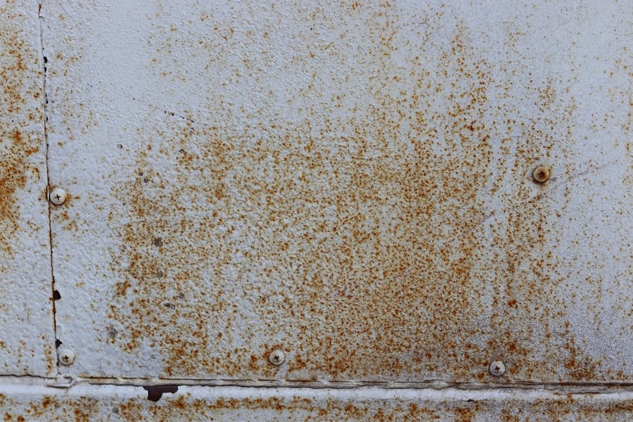 prevent mold and dampness