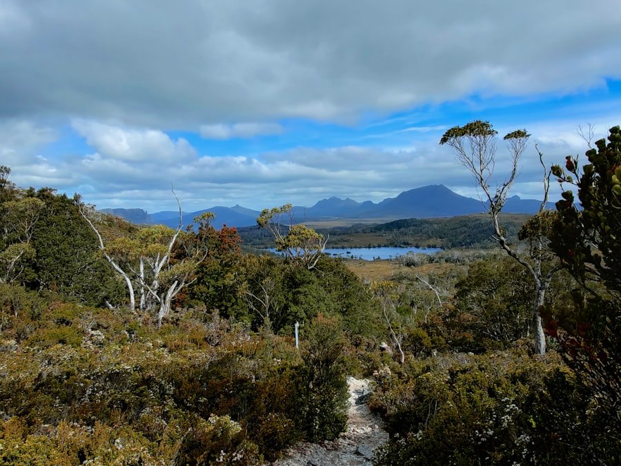 Wildlife Tourism Tasmania