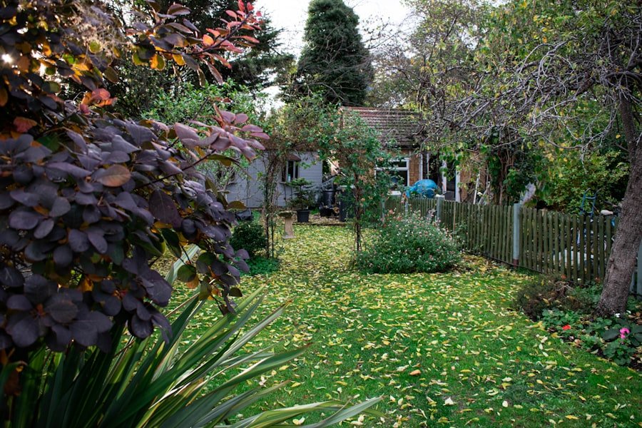 Photo maintaining garden and lawn areas