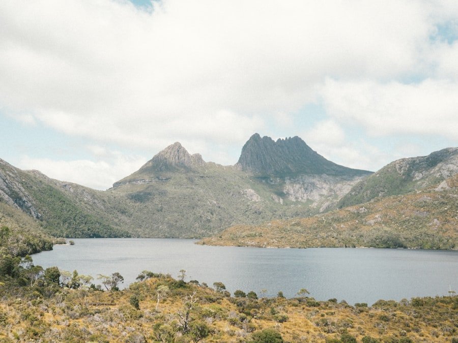 Photo Wildlife Tourism Tasmania