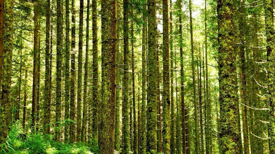 Photo Sustainable Business Practices